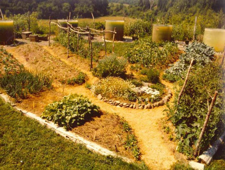 View from the garage roof of The Solar Shield Garden early in the season.